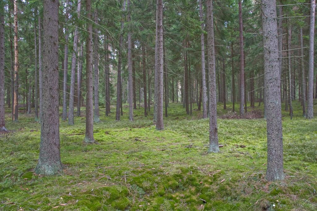 Agroturystyka Sominy Piotr Luaran gambar