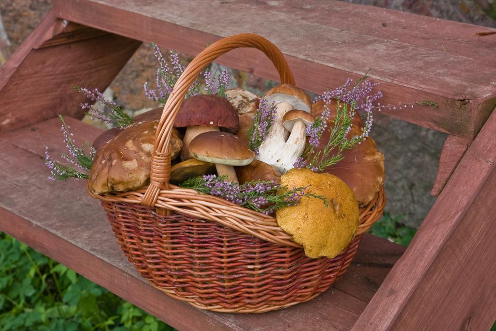 Agroturystyka Sominy Piotr Luaran gambar