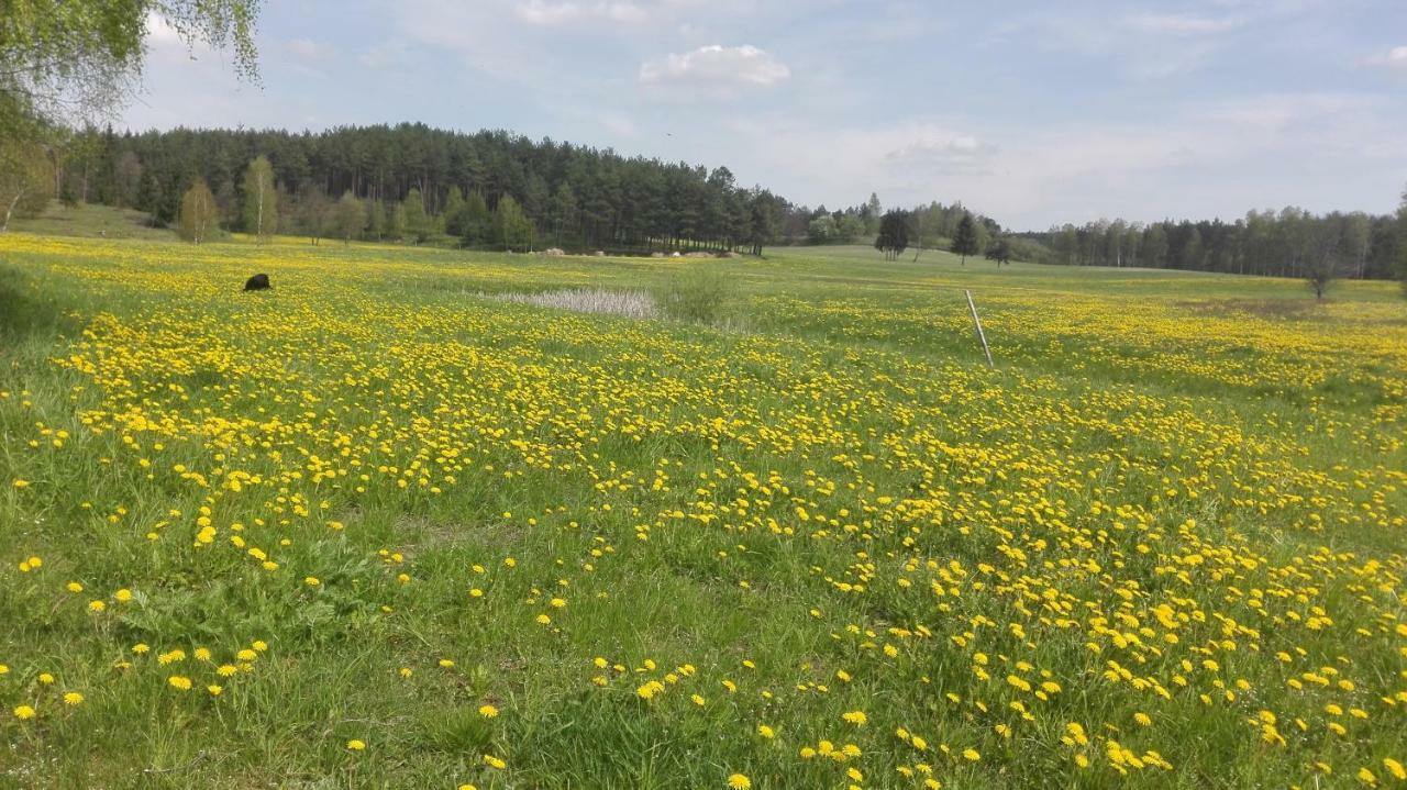 Agroturystyka Sominy Piotr Luaran gambar