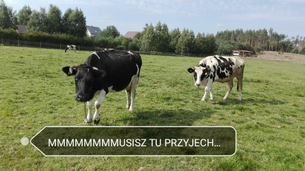 Agroturystyka Sominy Piotr Luaran gambar